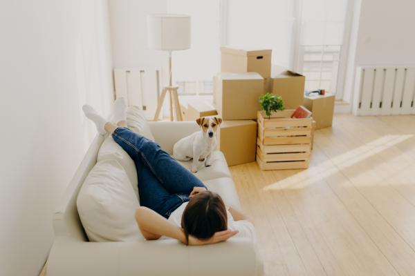 Air BnB, Kurzzeitvermietungen, Bauordnung Novelle