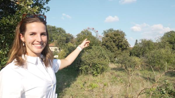 JOSEPHINE RIesenrad Wien Prater