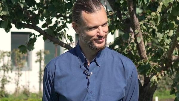 Soilful: Wie Bürogärten die Arbeitswelt verbessern