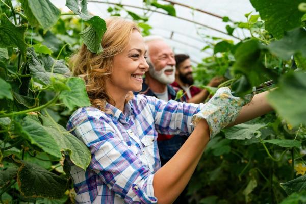 Inklusivmiete, Energie-Flatrate, Greenfarming, Robotik 