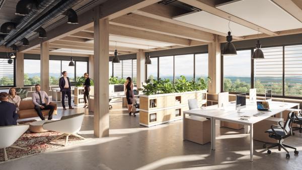 Von Flex-Desk bis Green Office: Bürotrends 2025