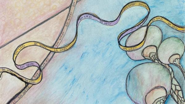 Energie und die Kraft der Räume – Mai