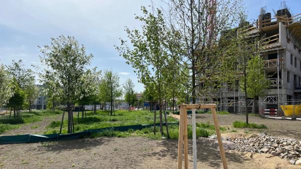 Bert-Brecht-Park im VILLAGE IM DRITTEN "gedeiht"