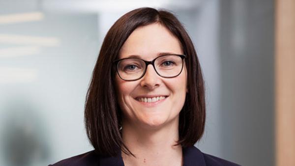 Die Steuererfinder sind nicht ausgestorben