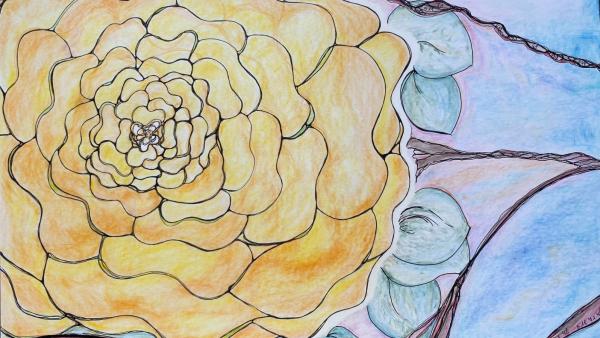 Die Kraft der Räume im Monat Juli