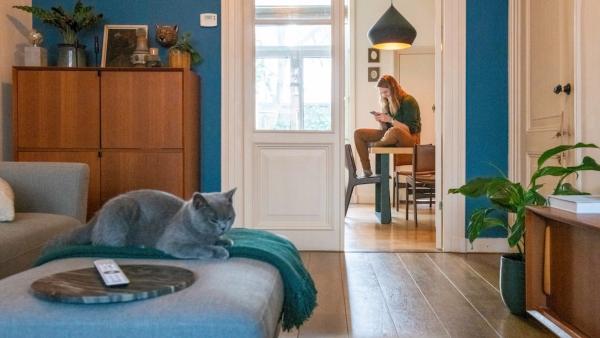 imabis Mietpreise in Bewegung