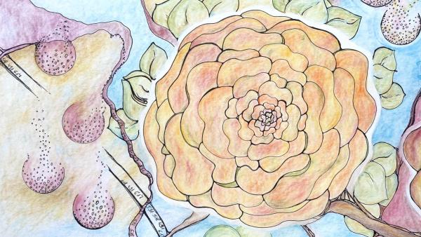 Blume gezeichnet ovn Christa Singer