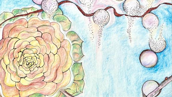 Bild von Christa Singer zum Space Clearing