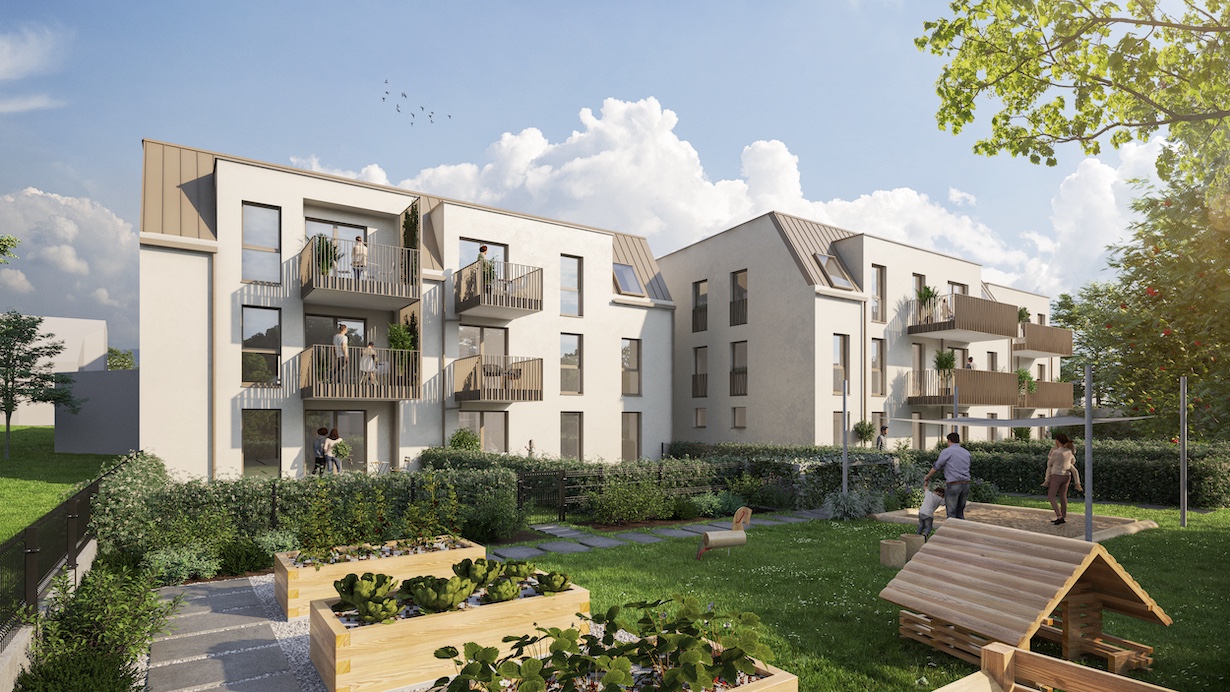 Das Projekt in Langenzersdorf als Rendering