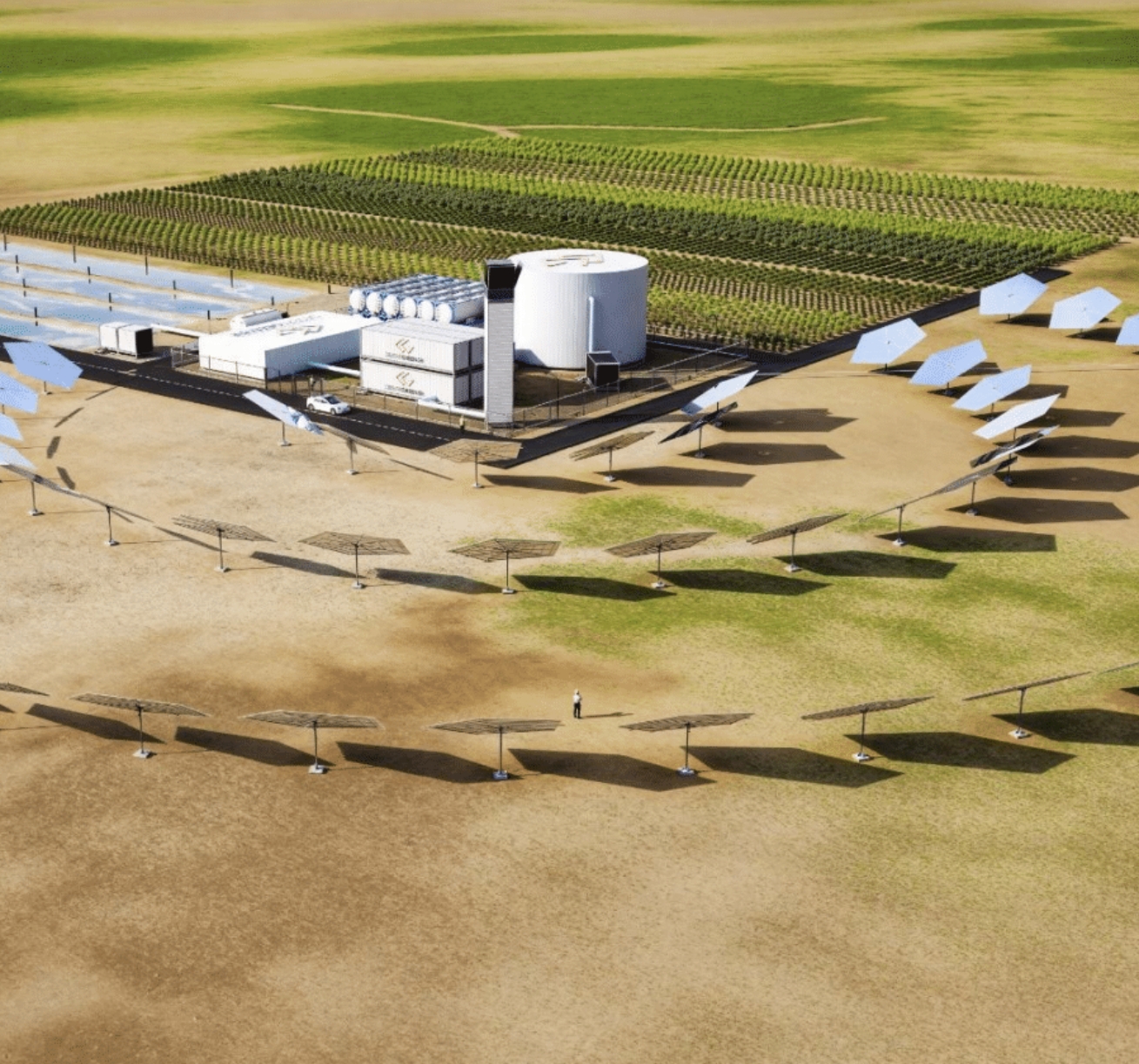 Bild von Desert Greener in der Wüste