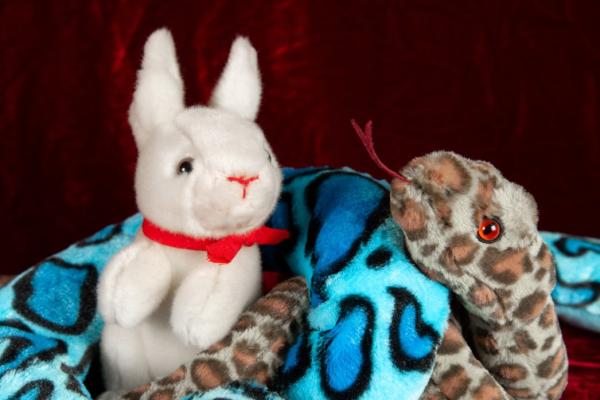 Kaninchen und Schlange