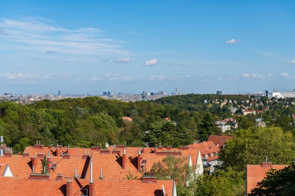 Aussicht_Stock im Weg 1